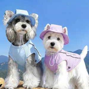 colete de verão para cães e gatos