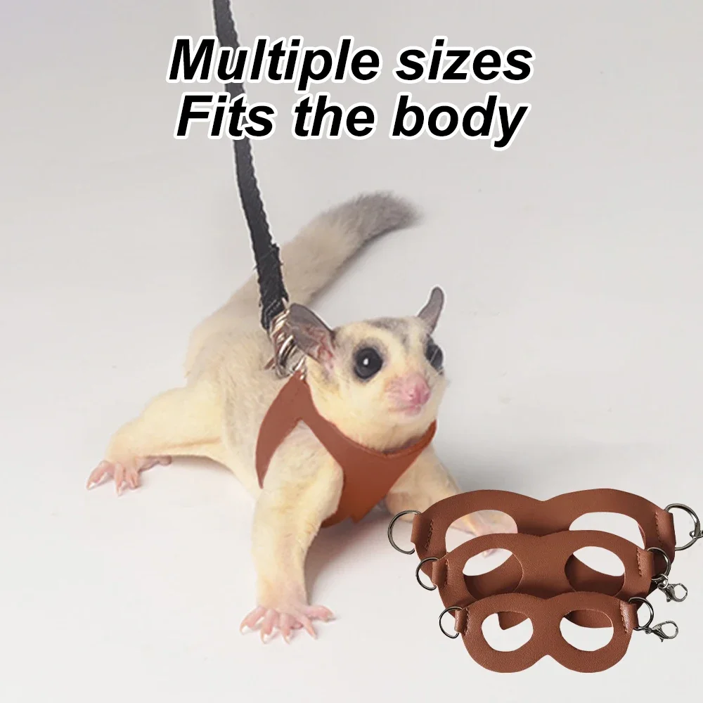 Coleira e Guia para Sugar Glider Ajustável Chocolate - Imagem 6
