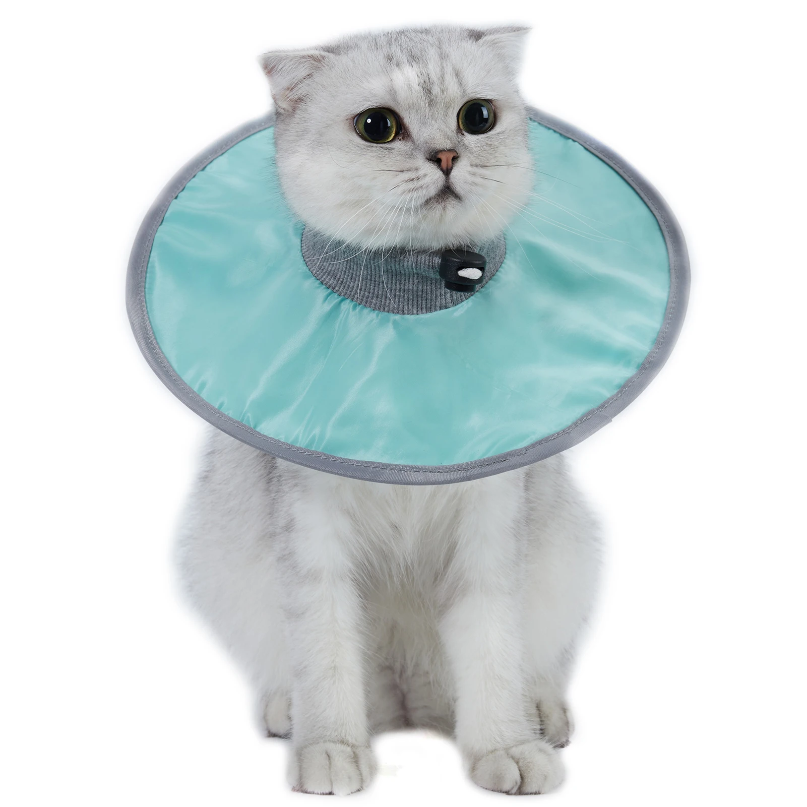 coleira protetora para gatos e cães