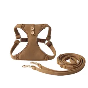 conjunto peitoral e coleira para cães pequenos