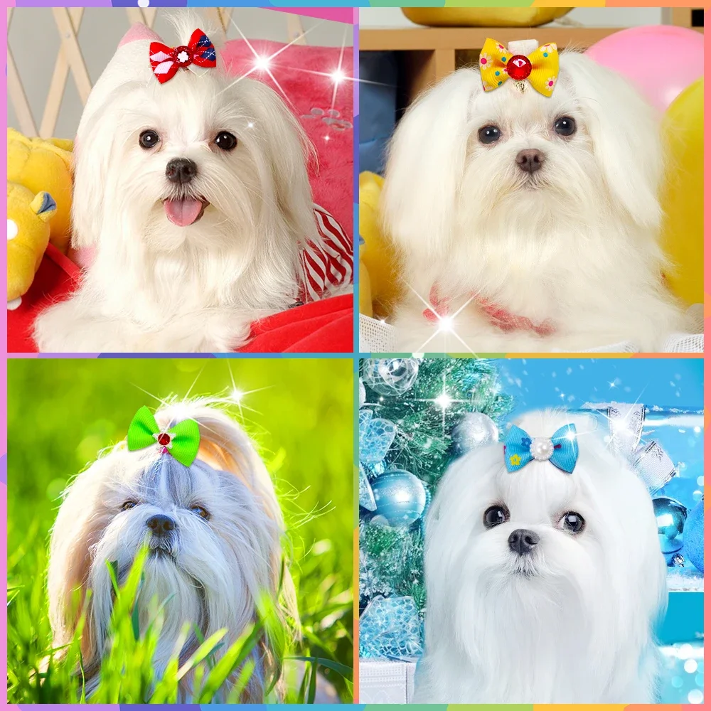 Laços de Cabelo para Cães Pequenos com Elástico 3-5 cm - Image 6