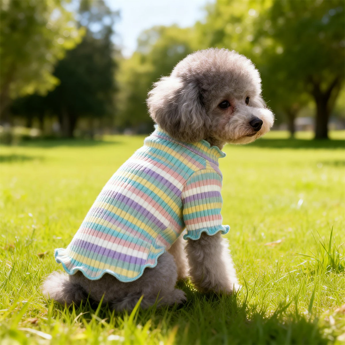 Roupa para Cães Camiseta com Medidas de Peito e Comprimento - Imagem 4