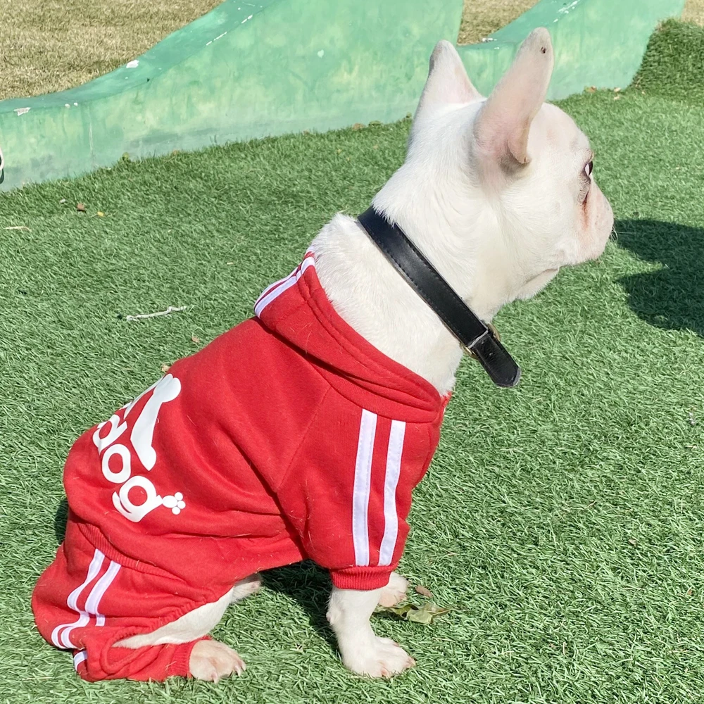 Moletom para Cães com Forro de Fleece Design de Quatro Patas - Imagem 4