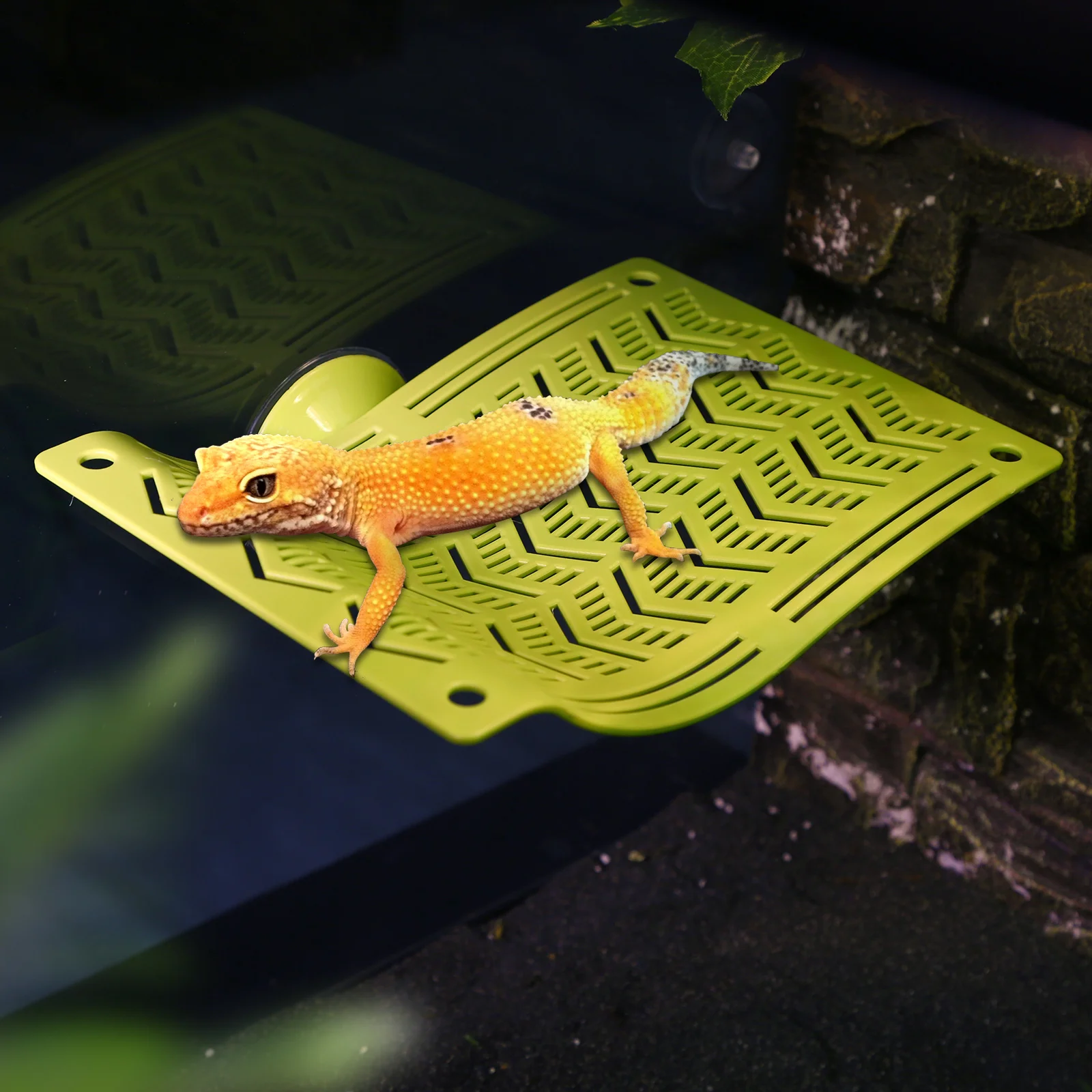 Rede para Répteis de Plástico Durável para Lagartos e Geckos - Image 5