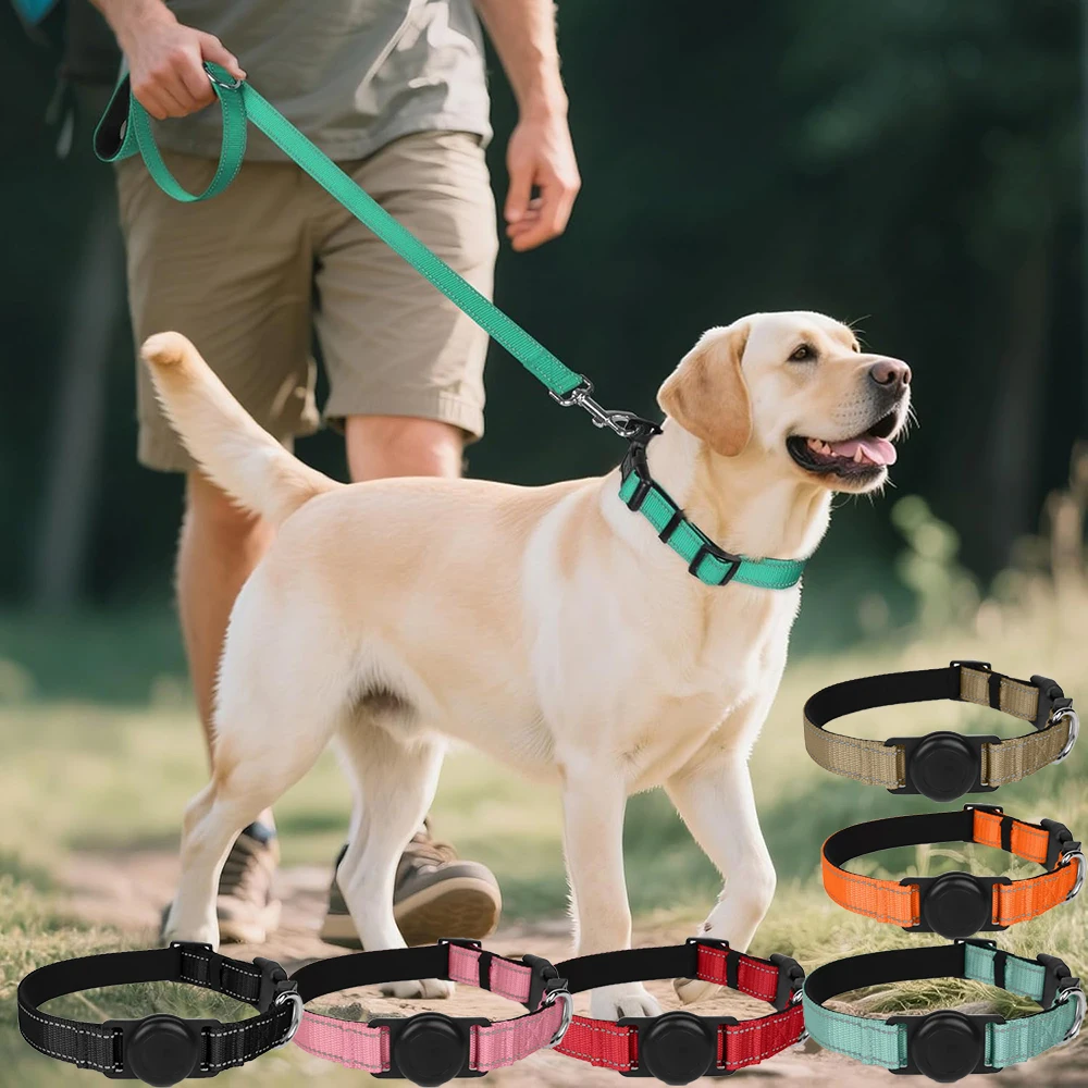 Coleira para Cães Médios de Nylon Ajustável com Fivela de Segurança - Imagem 6