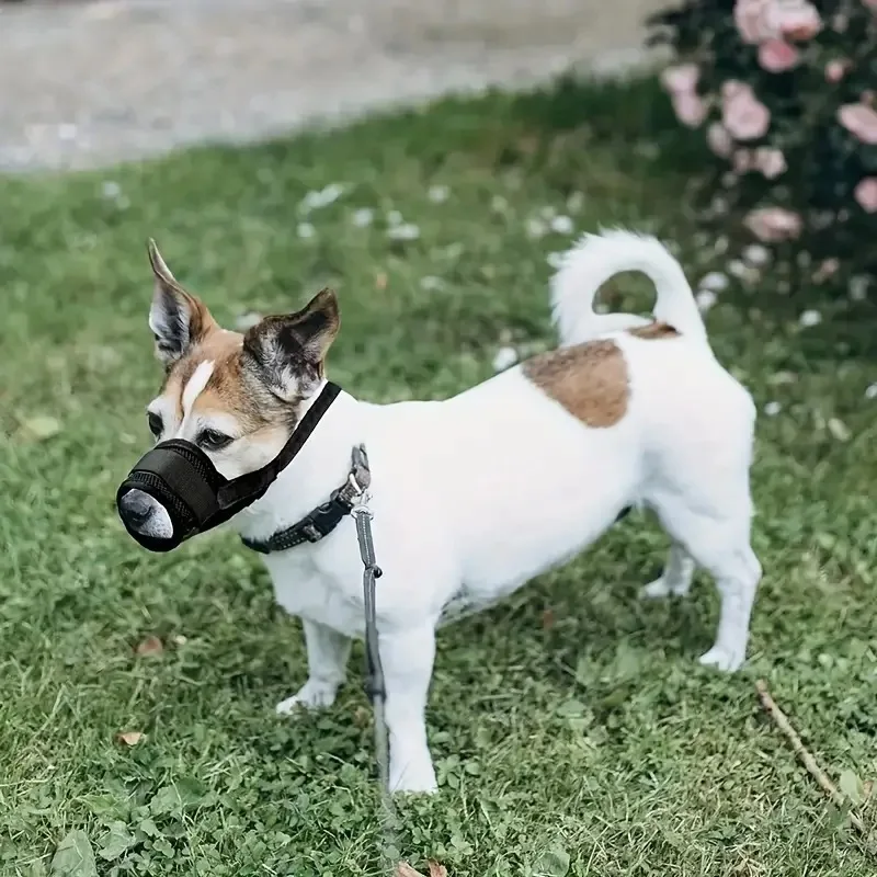 Focinheira de Malha para Cães Ajustável para Cães de Porte Variado - Imagem 4