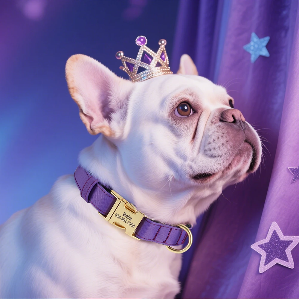 Coleira para Cães de Nylon Impermeável Ajustável com Gravação Gratuita - Imagem 5
