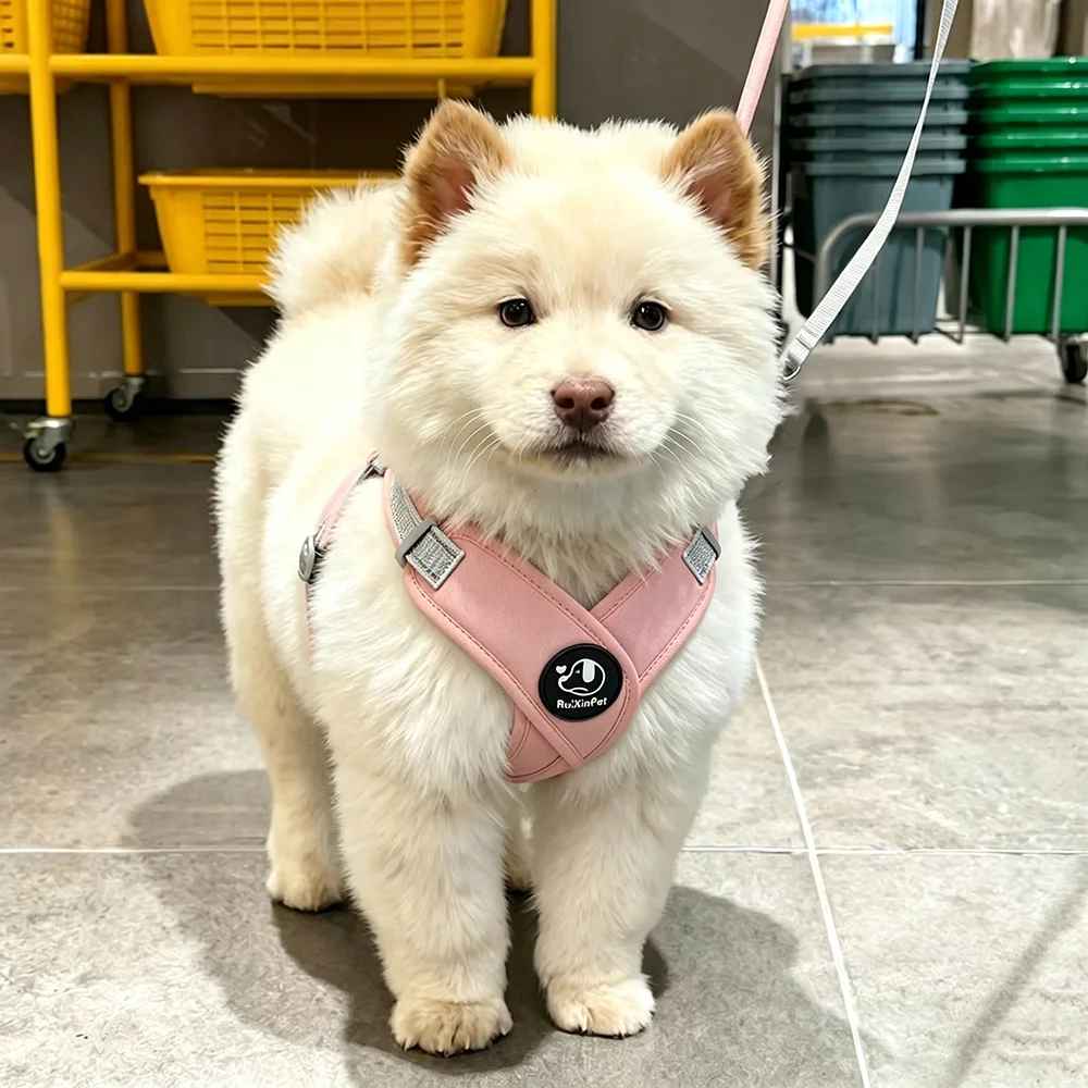 Colete Peitoral para Cães e Gatos Pequenos com Guia Ajustável - Imagem 5
