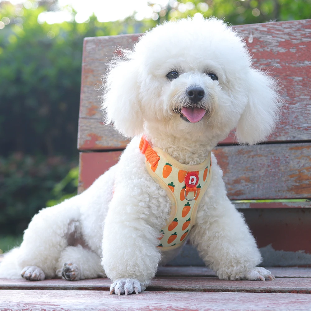 Colete Peitoral para Cães Pequenos Respirável com Guia Ajustável - Imagem 4
