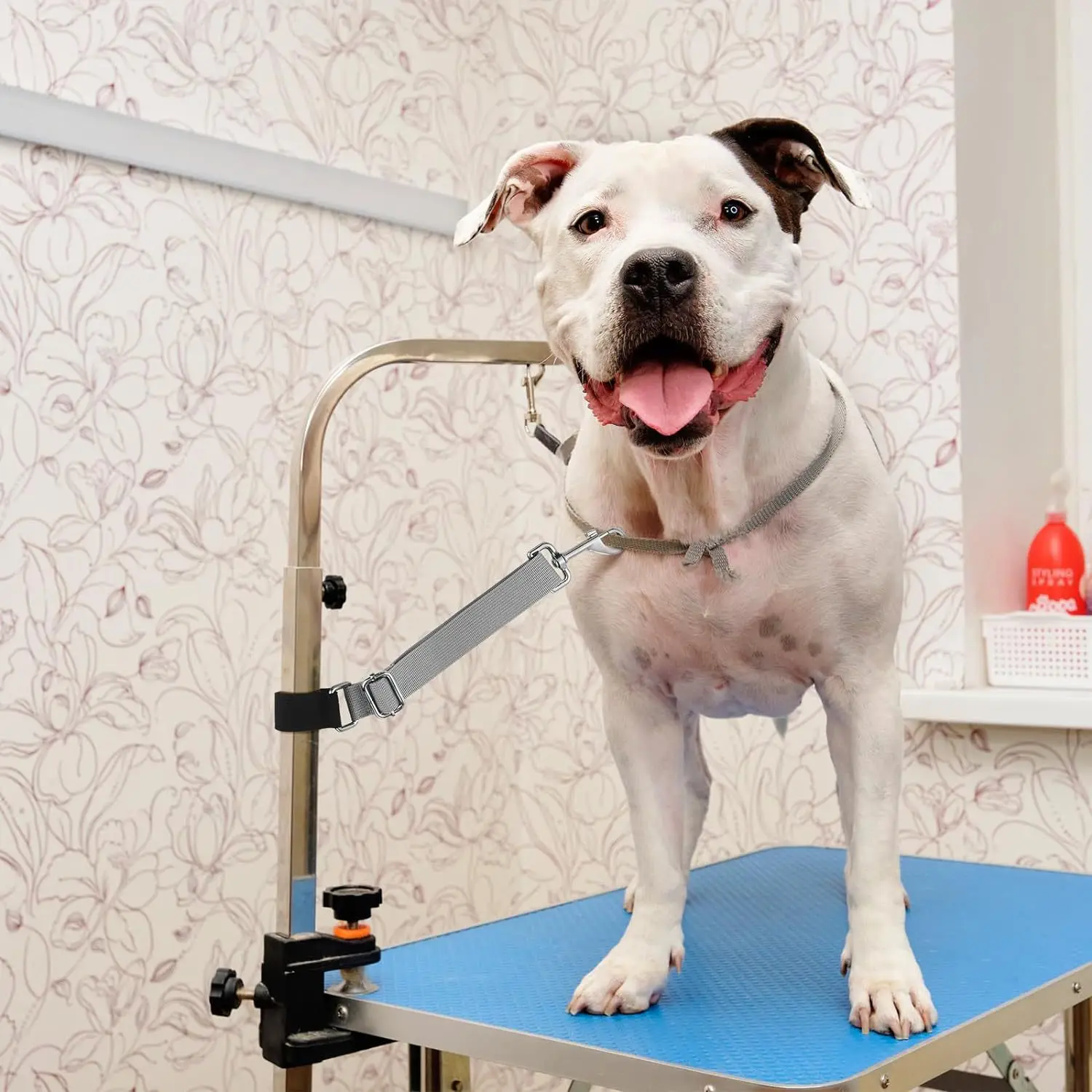 Trelas para Tosa de Cães, 2 Peças, Nylon Ajustável para Braço - Imagem 6