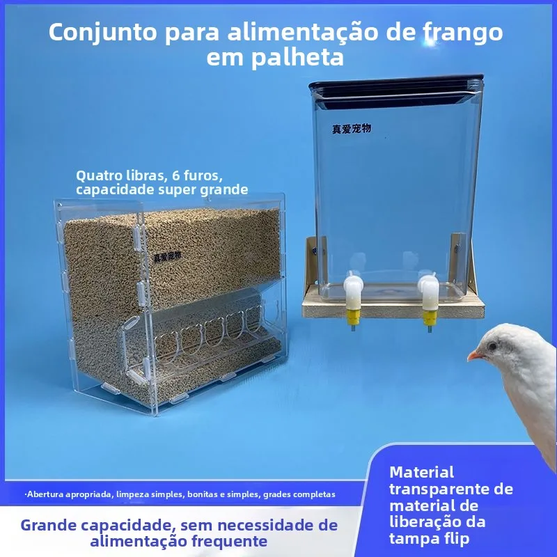 Alimentador Automático para Aves Anti-Derramamento - Imagem 5