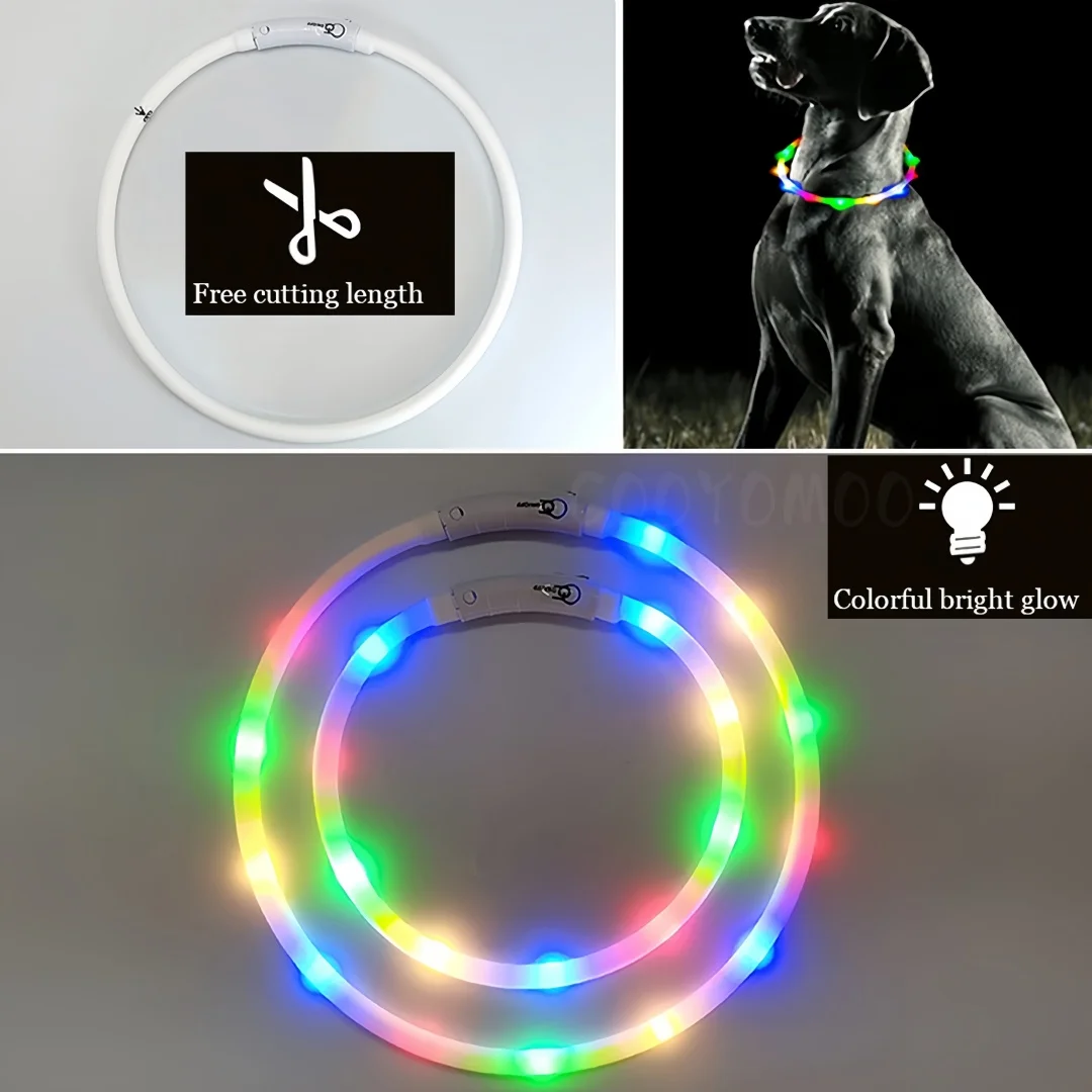 Coleira LED para Cães e Gatos Recarregável USB com 4 Modos de Luz - Image 5
