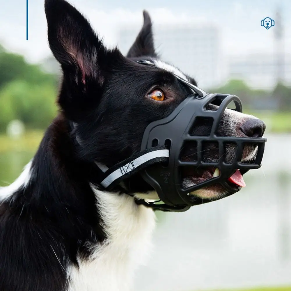 Focinheira Ajustável para Cães com Tira Refletiva Plástica - Imagem 5