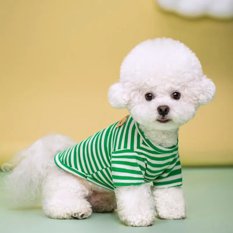 Colete de Algodão para Cães com Estampa de Urso Listrado - Image 4