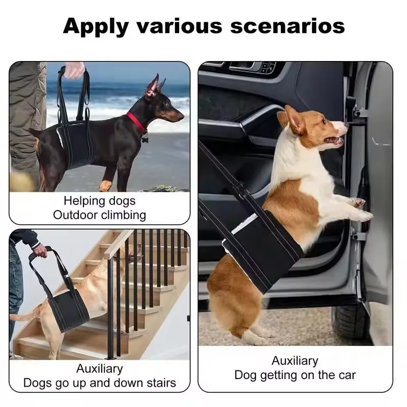 Suporte para Cães Idosos Ajustável para Pernas Traseiras - Imagem 5