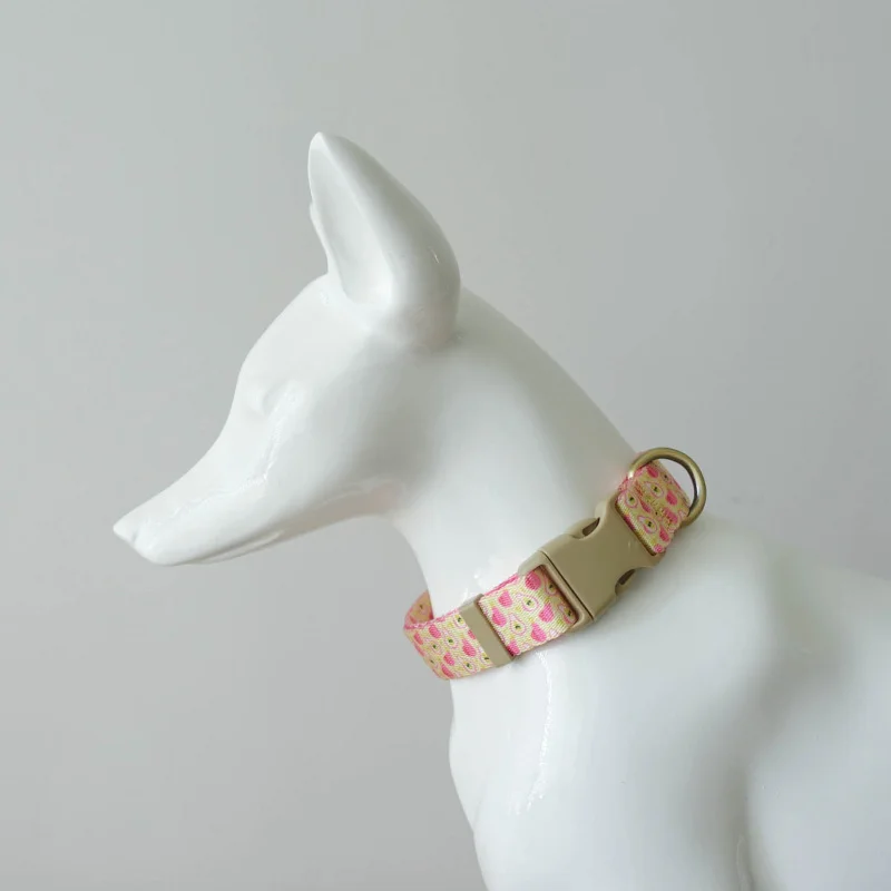 Coleira para Cães de Nylon Ajustável com Gravação Personalizada - Image 3