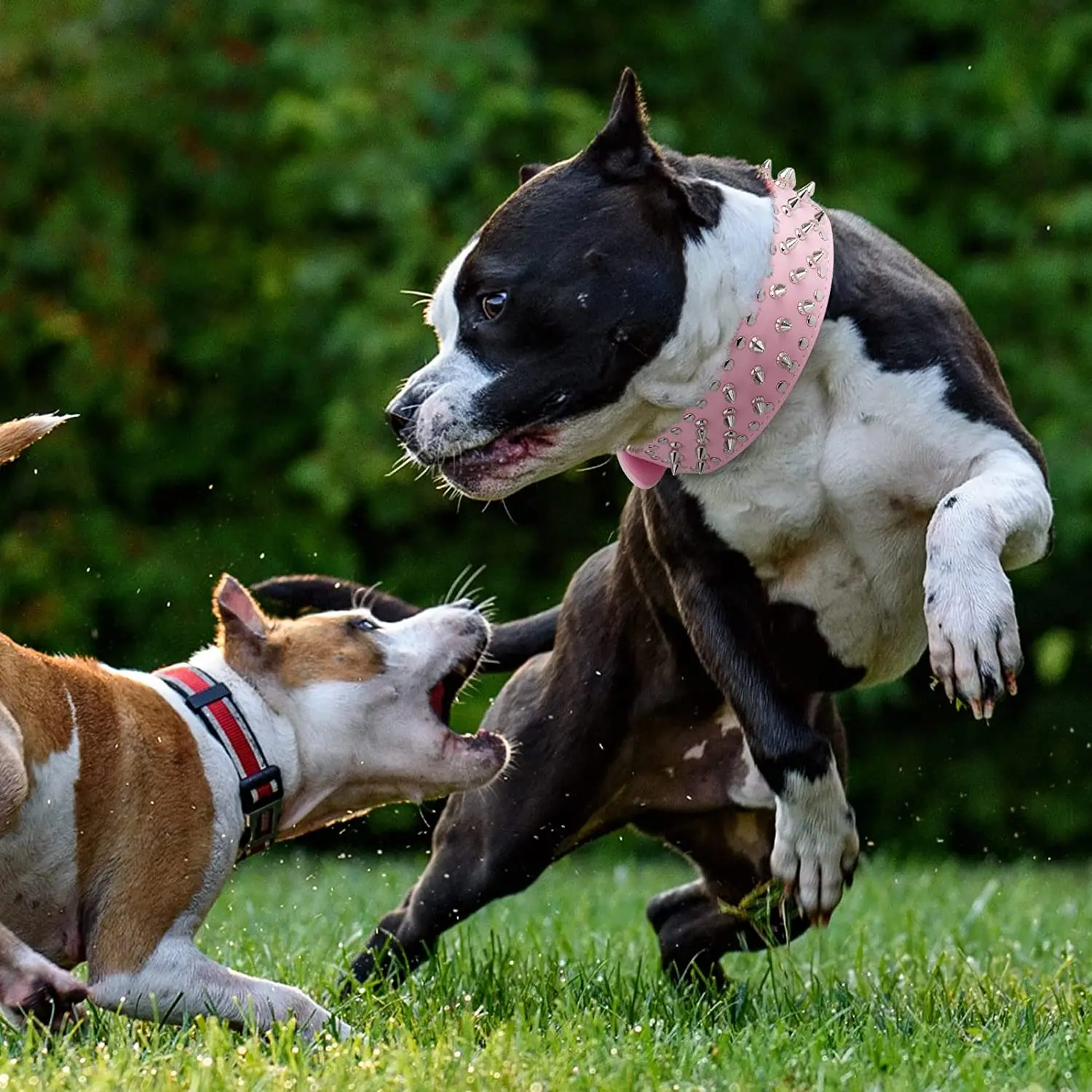 Coleira de Couro PU para Cães Grandes com Rebites Ajustável - Image 4