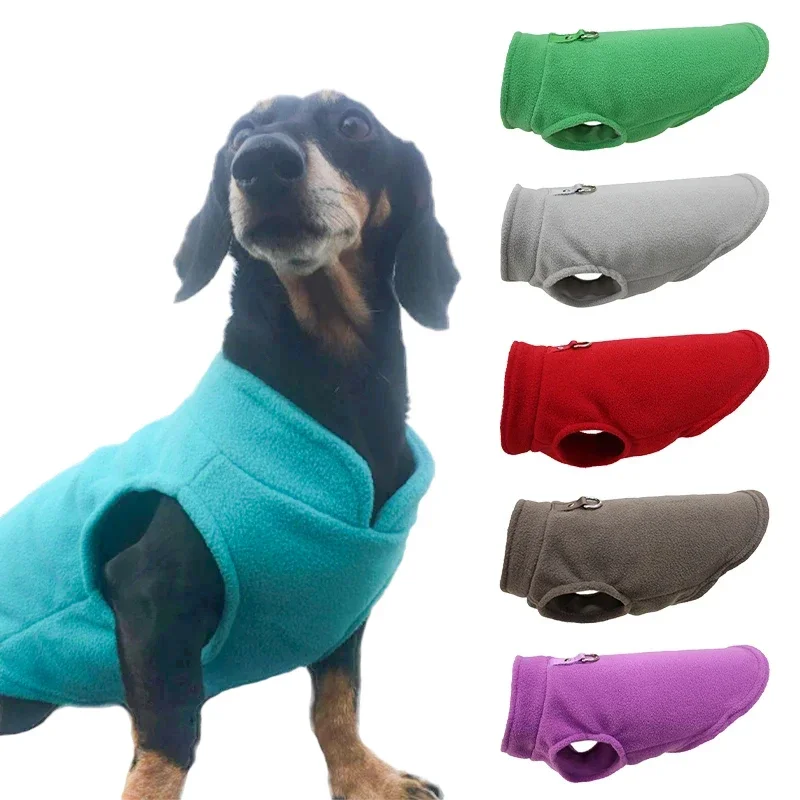 jaqueta de lã para cães pequenos