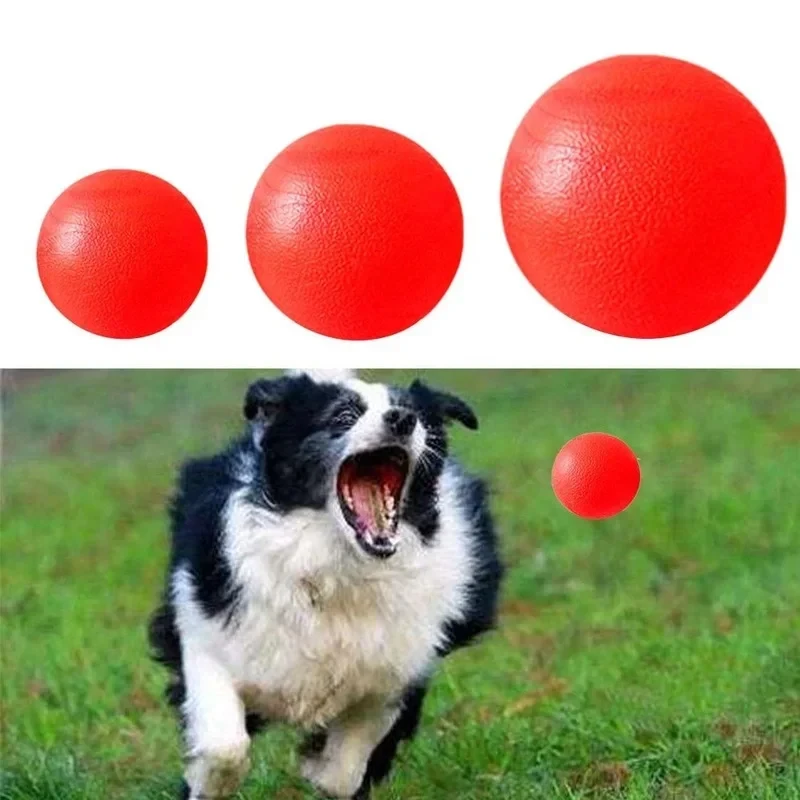 Bola para Cães de Borracha Sólida Média 7cm para Brincar e Treinar - Imagem 3