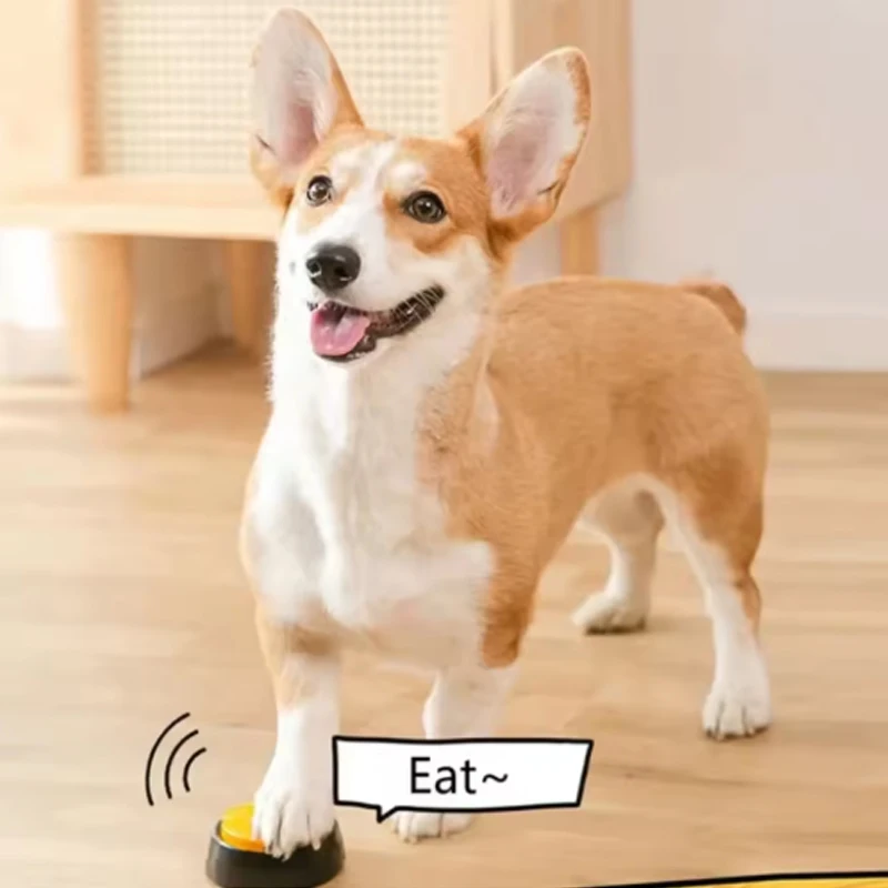 Botão de Comunicação para Cães com Gravação de Voz de 30s - Imagem 3