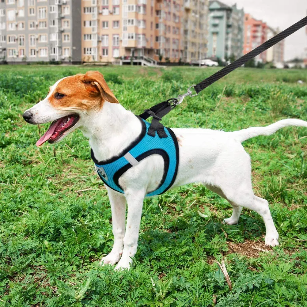 Peitoral para Cães e Gatos de Malha Respirável com Ajuste - Imagem 2