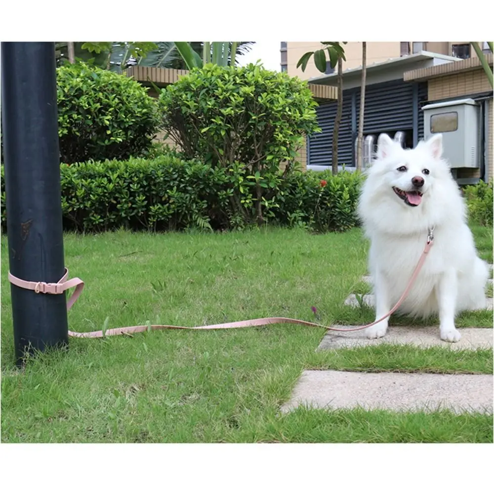 Coleira Ajustável para Cães em PVC Lavável e Impermeável - Imagem 4
