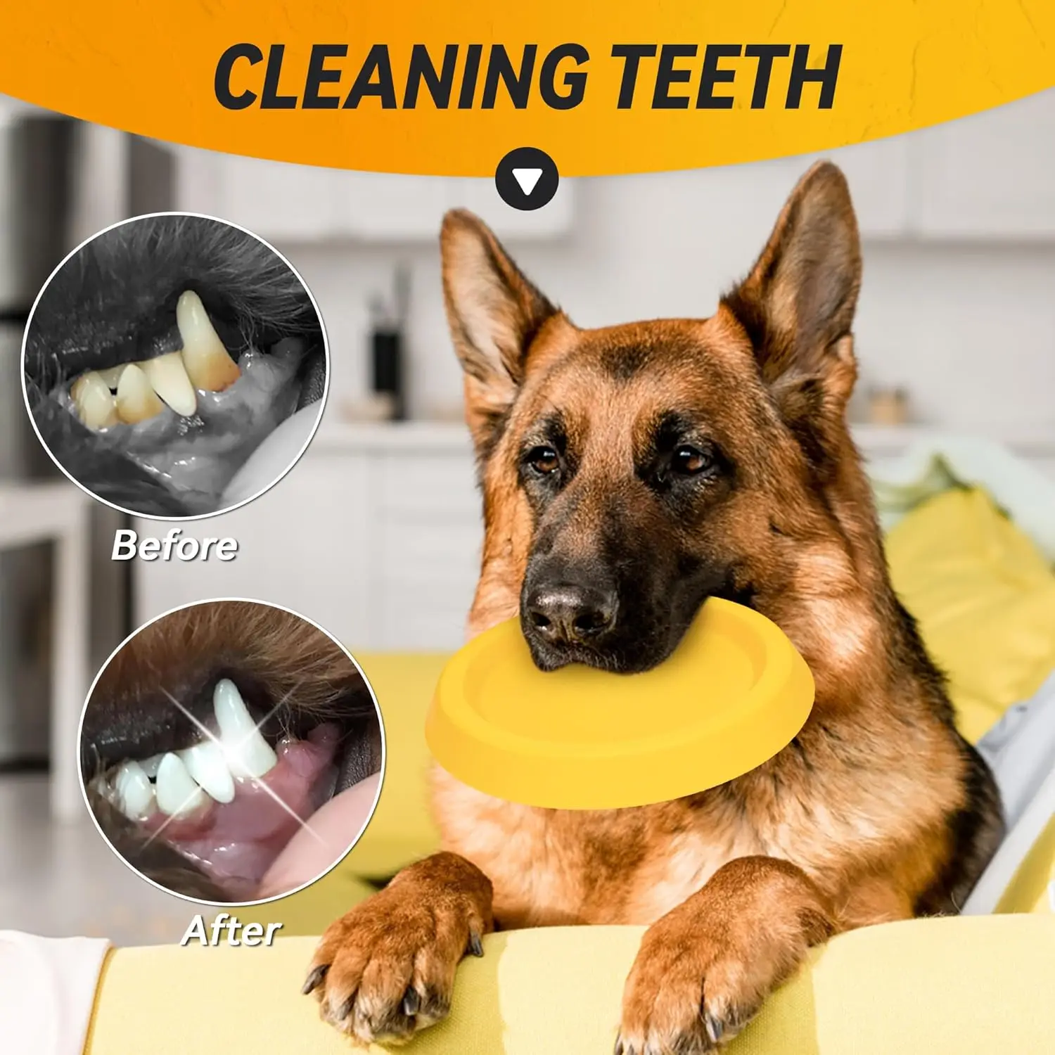 Disco Voador para Cães de Espuma EVA Flutuante Amarelo Visível - Image 4
