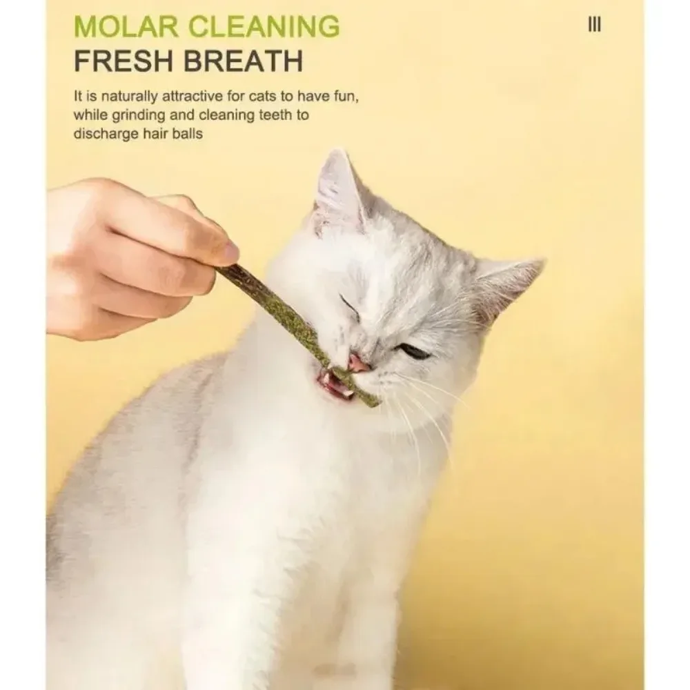 Bastões de Matatabi e Silvervine para Gatos com Menta, 6 Peças - Imagem 4