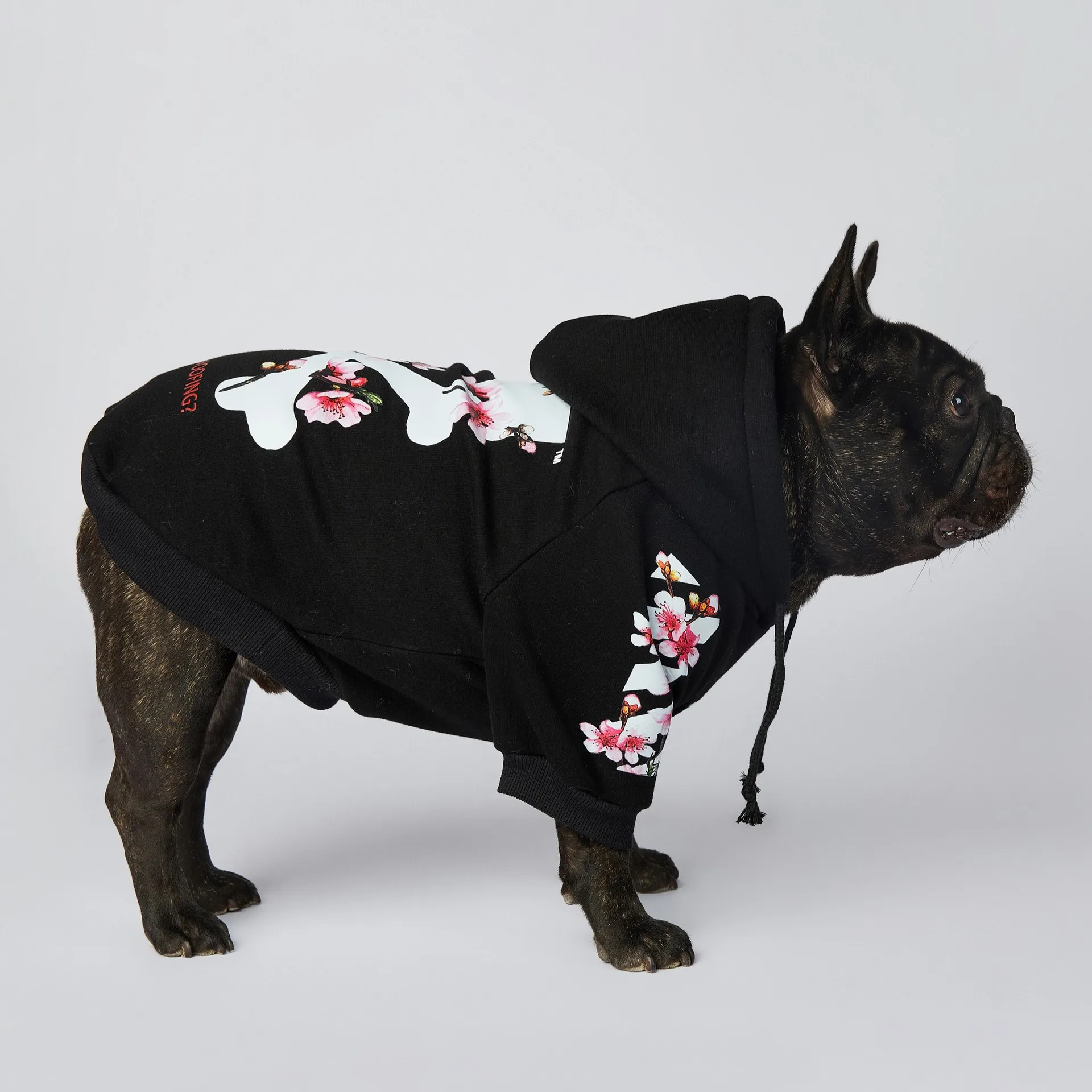 Moletom Woof para Cães de 2 Pernas Quente para Outono e Primavera - Imagem 5