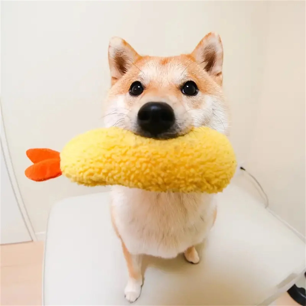brinquedo para cães camarão frito