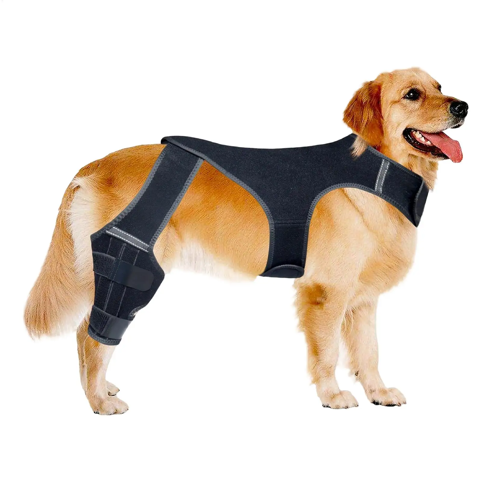 Suporte Ajustável para Pata de Cachorro com 4 Estabilizadores Metálicos - Imagem 3