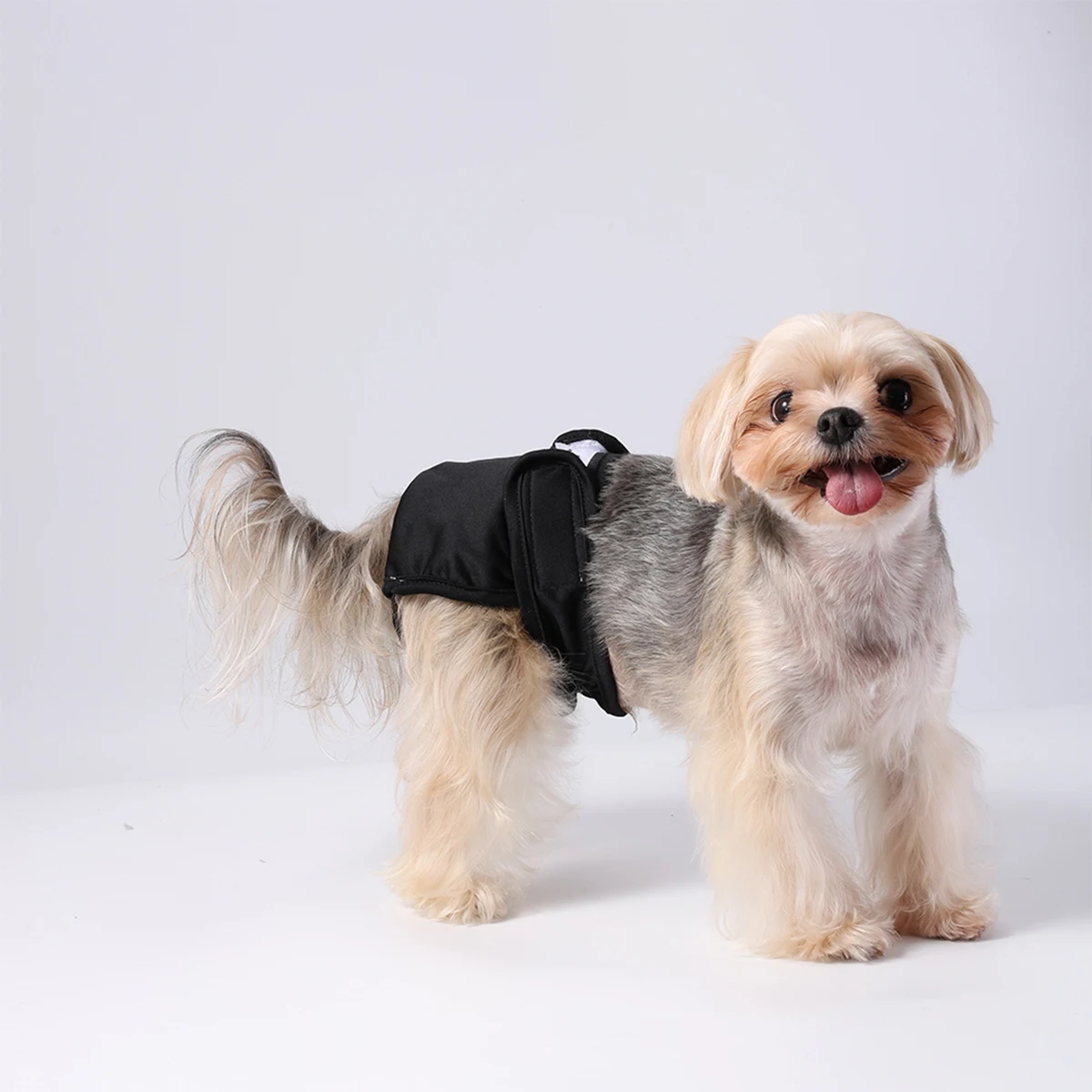 Fralda Lavável para Cães Fêmeas Ajustável à Prova de Vazamento - Imagem 6