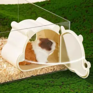 casa de observação magnética para hamster
