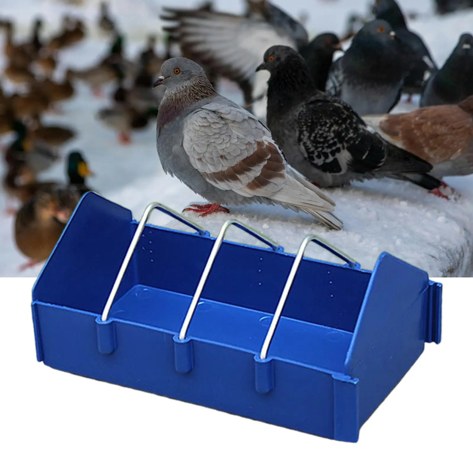Comedouro para Pombos e Aves de PP com Ganchos Removíveis 19,5 cm - Imagem 3