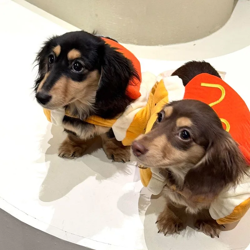 Traje de Cachorro e Gato para Festas Ajustável - Imagem 4
