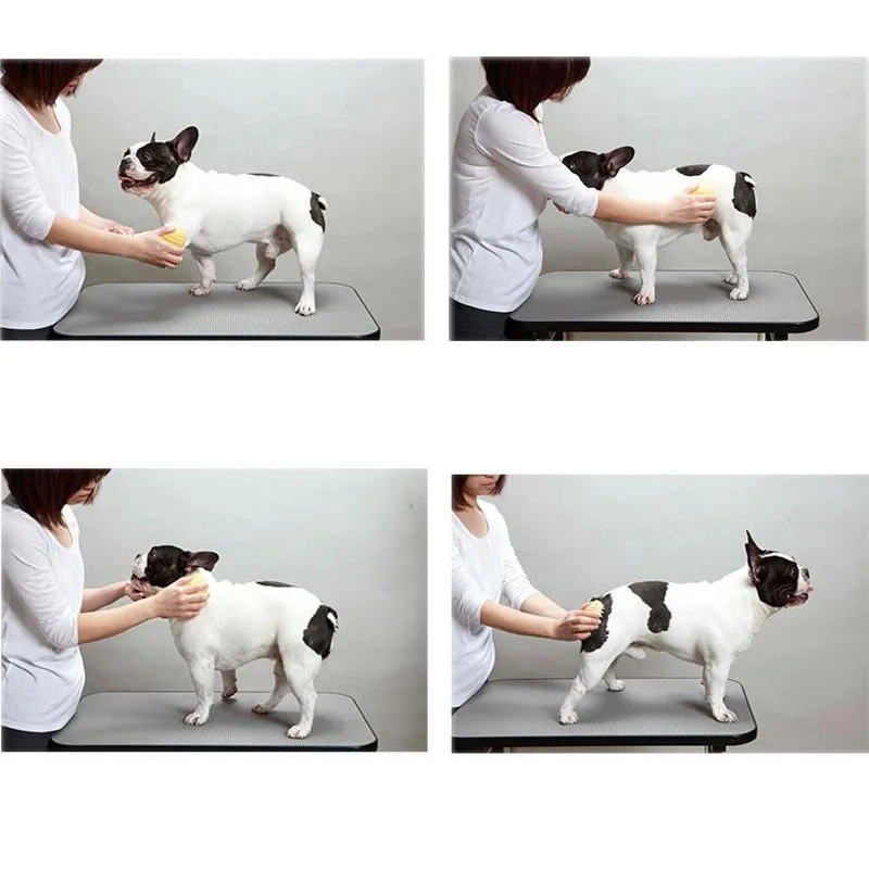 Escova de Massagem para Cães e Gatos de Silicone Macio para Lavagem - Imagem 5