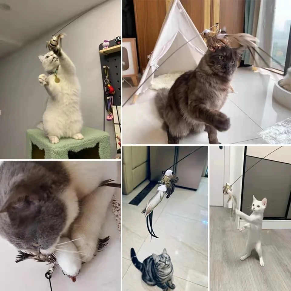 Brinquedo Varinha para Gatos com Pena e Sino Interativo - Imagem 6