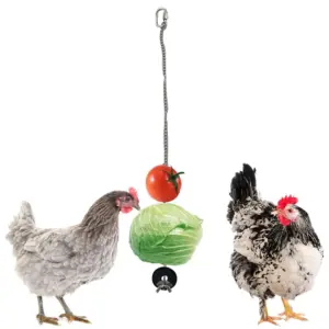 alimentador para papagaio de aço inoxidável