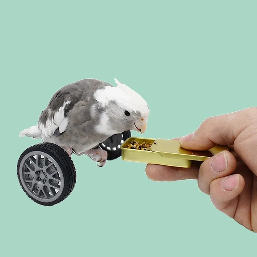 Brinquedo de Equilíbrio para Pássaros Pequenos e Médios - Imagem 3