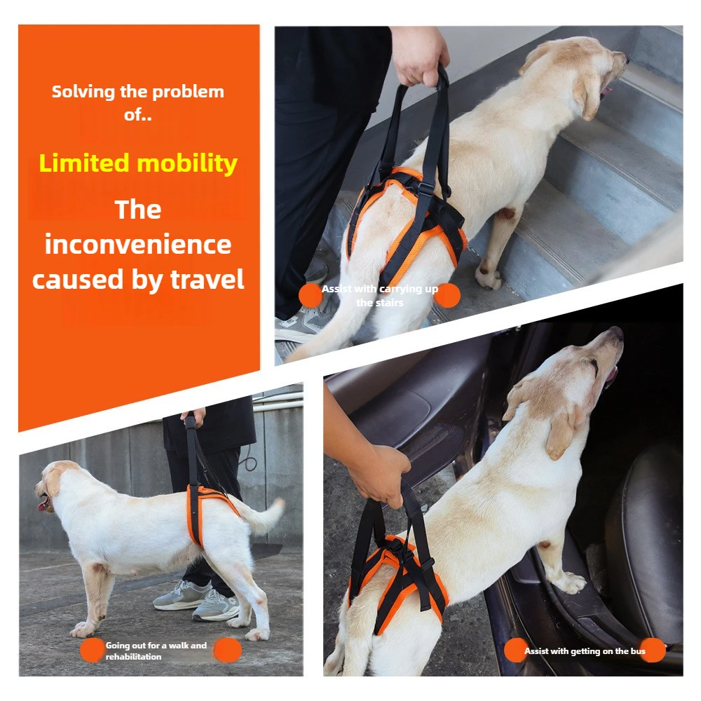 Arnês de Elevação para Cães com Suporte Traseiro Ajustável - Imagem 4