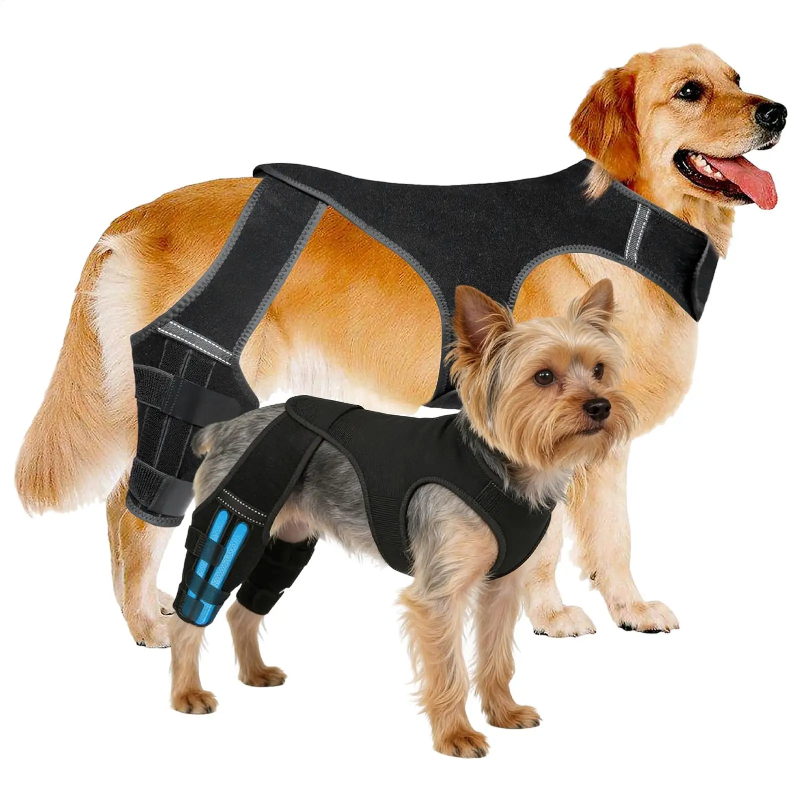 Suporte Ajustável para Pata de Cachorro com 4 Estabilizadores Metálicos - Imagem 2