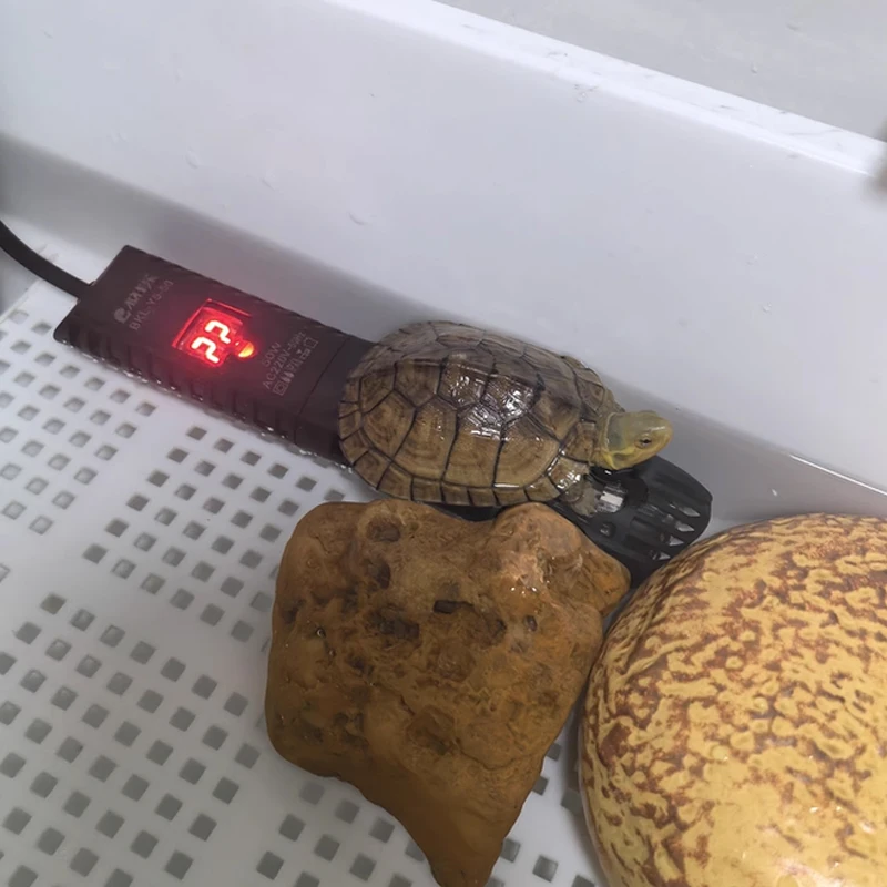 Aquecedor de Aquário com Termostato Digital e Haste Submersível 220V - Imagem 6