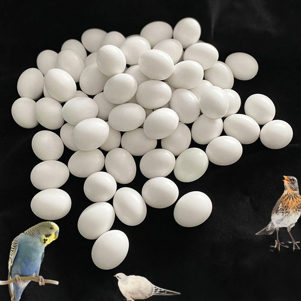 Ovos Falsos para Pássaros de Plástico Realistas Kit com 5 Peças - Imagem 6