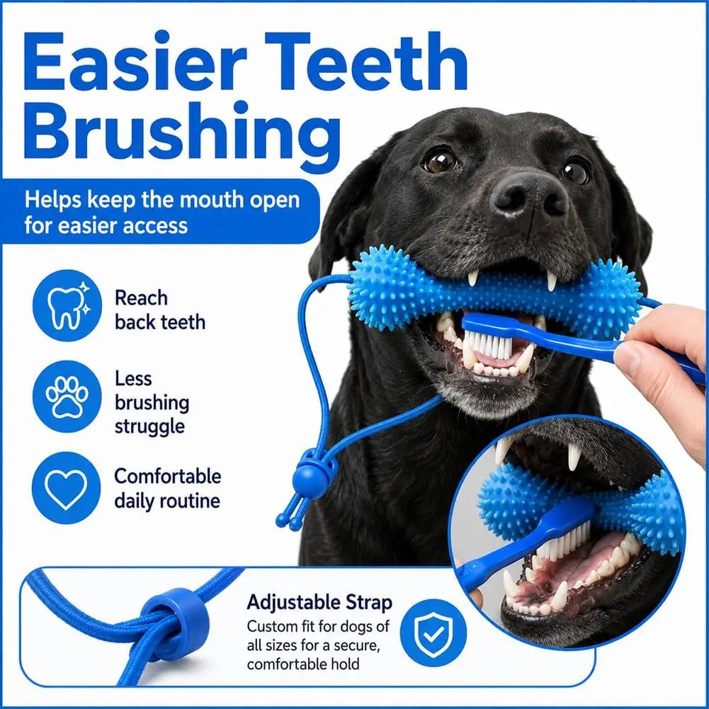 Brinquedo Dental para Cães Reutilizável de Ação Dupla para Mastigar - Imagem 3