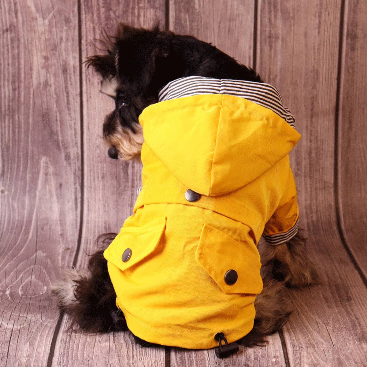 Capa de Chuva para Cães de Poliéster Impermeável para Inverno - Imagem 5