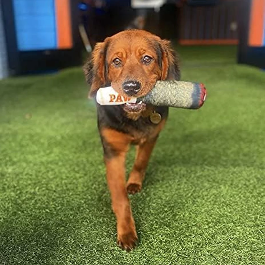 Brinquedo de Pelúcia para Cães Pequenos e Médios com Som - Imagem 4