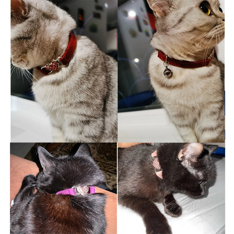 Coleira para Gato com Sino e Identificação Personalizada - Imagem 5