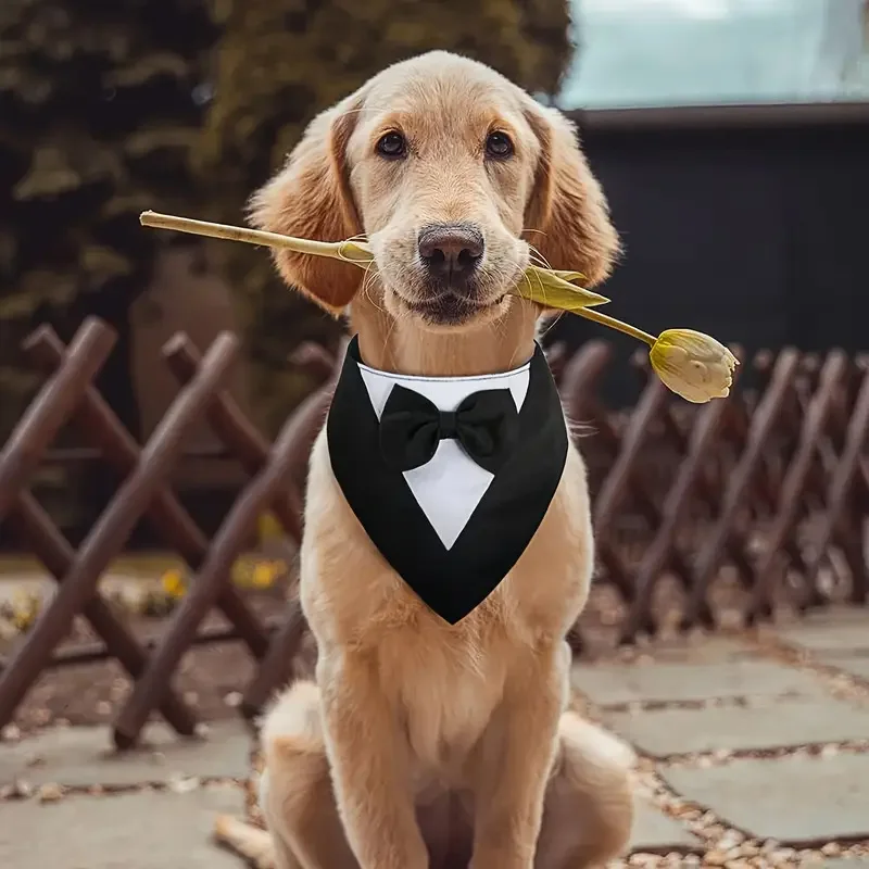 Bandana Ajustável para Cães e Gatos com Gravata Borboleta - Image 3