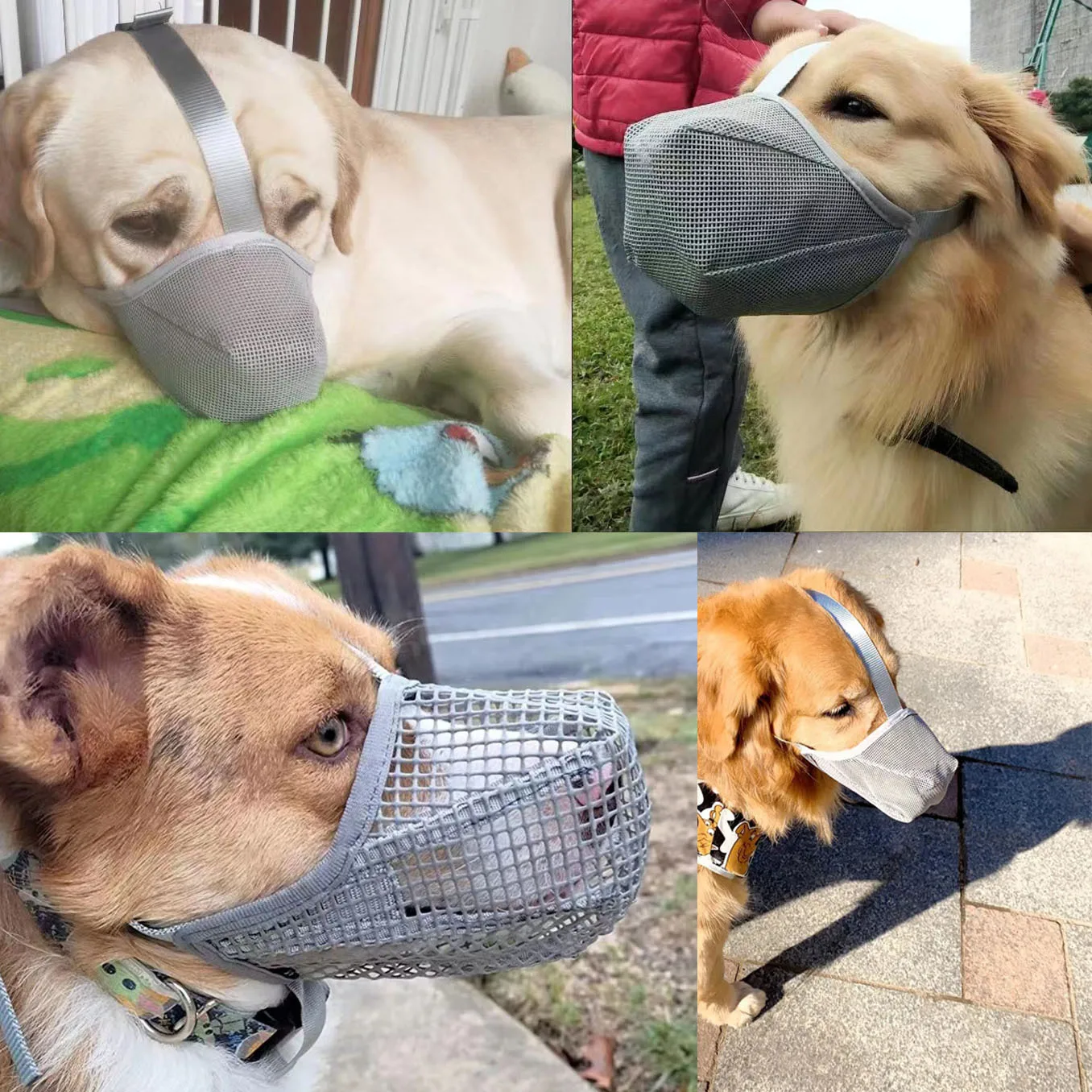 Focinheira de Malha para Cães com Alças Ajustáveis e Dobrável - Imagem 5