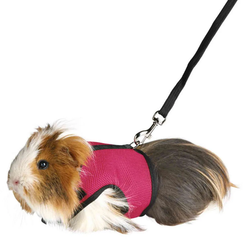 Coleira Peitoral para Coelhos de Malha com Guia Ajustável - Image 6